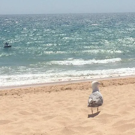 Dos Salgados - Lagoas شقة *