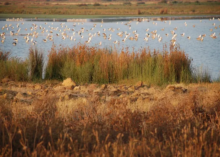 Dos Salgados - Lagoas Lägenhet